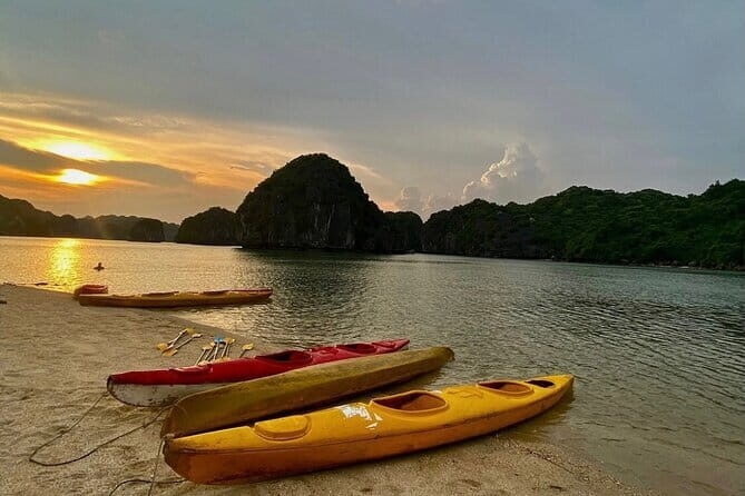 Sunset- Magical bioluminescent plankton Kayaking trip from Catba - The Highlights of the Tour