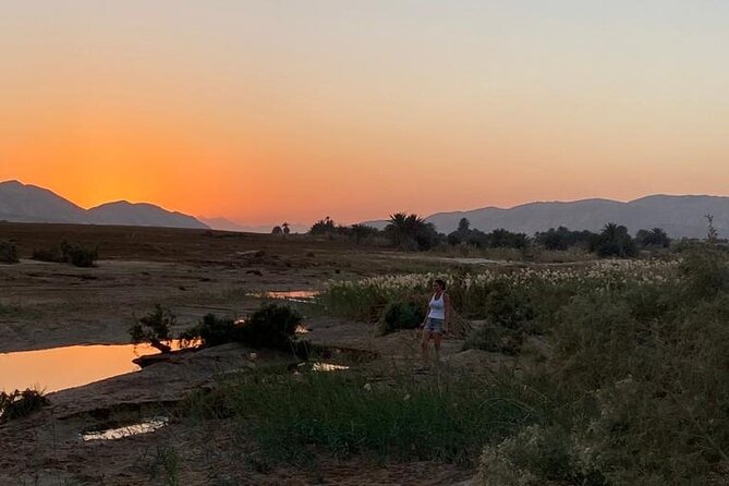 Sunset Oasis Desert Experience in El Gouna and Hurghada - Meeting and Pickup