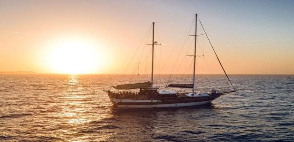 Sunset on a Sailboat + Dinner With Views of the Cabo Arch - Meeting Point and Check-in