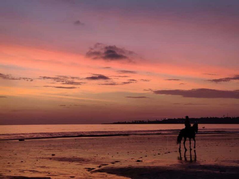 Sunset on Horseback at El Limón Beach - Final Thoughts: Is This Tour for You?