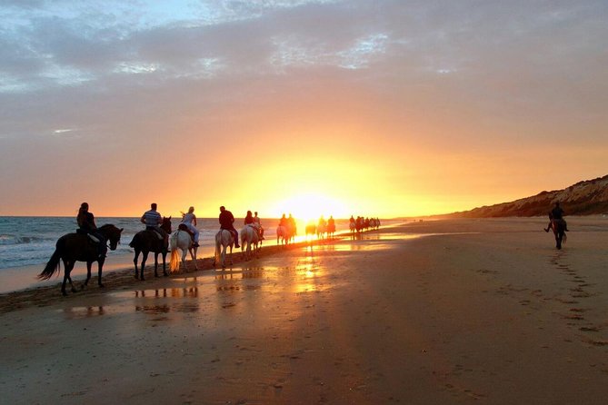 Sunset on Horseback Through Doñana Visit of El Rocio-Private Tour - Tour Details