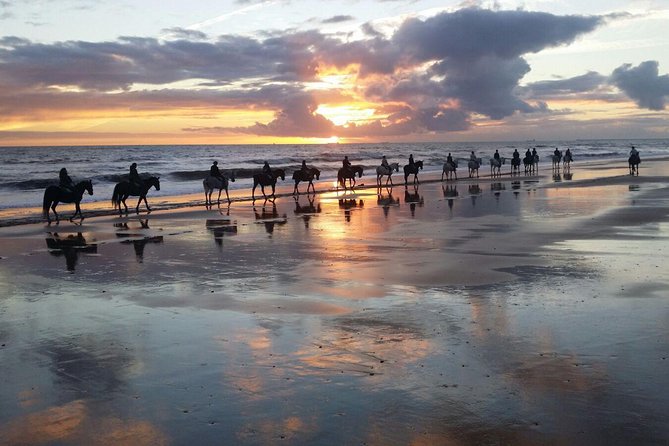 Sunset on Horseback Through Doñana Visit of El Rocio-Private Tour - Cancellation Policy