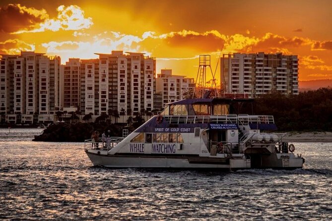 Sunset on the Broadwater Cruise With Spirit of Gold Coast - Questions and Help