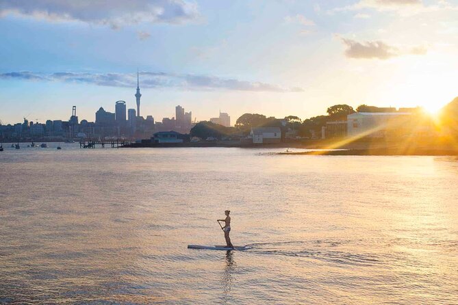 Sunset Paddle-Boarding Tour in Auckland - Overview and Inclusions