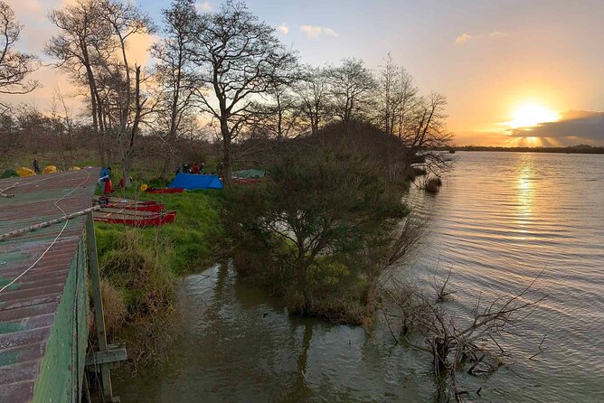 Sunset Paddle-Boarding Tour in Auckland - What to Expect on the Tour