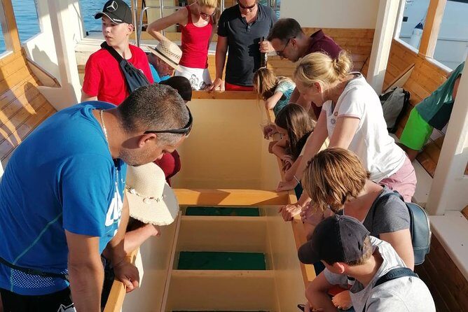 Sunset panorama & swimming with a fishes - FAQ