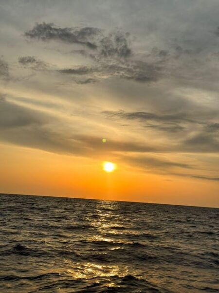 Sunset Panoramic Cruise With Drinks and Nighttime Dip - Booking and Cancellation Policy