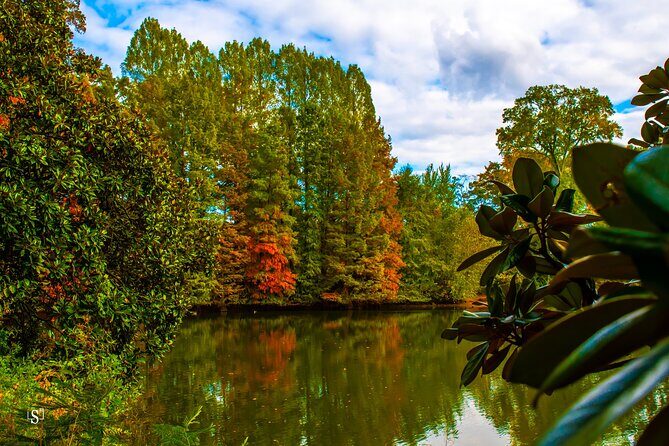 Sunset Photography Tour of Piedmont Park Atlanta - Why This Tour Works Well
