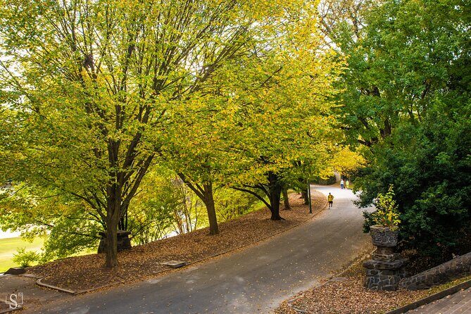 Sunset Photography Tour of Piedmont Park Atlanta - Final Thoughts: The Value of a Sunset Photo Walk in Piedmont Park