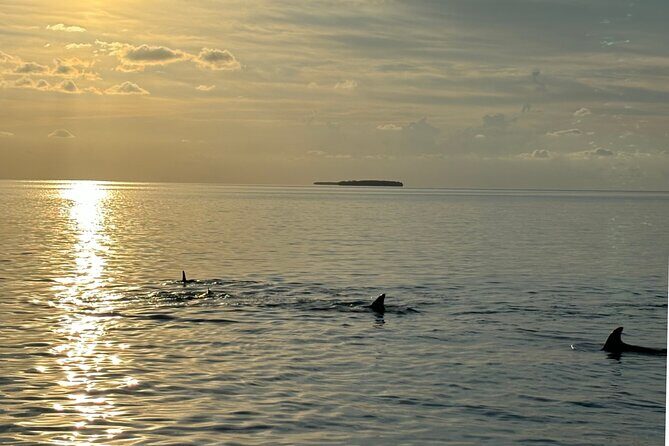 Sunset Powerboat Cruise - FAQ