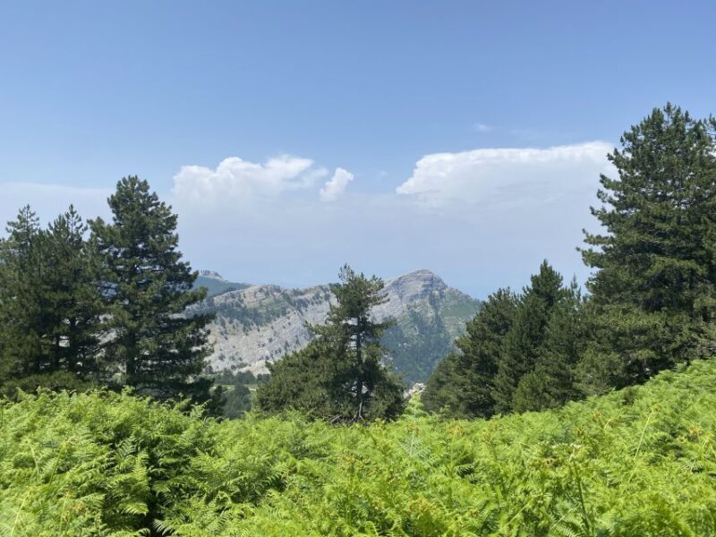 Sunset Safari in Thassos with free refill prosecco & fruits - Authentic Insights from Reviews