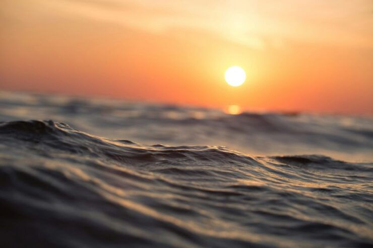 Sunset Safari Private Boat Trip - Booking Details and Flexible Options