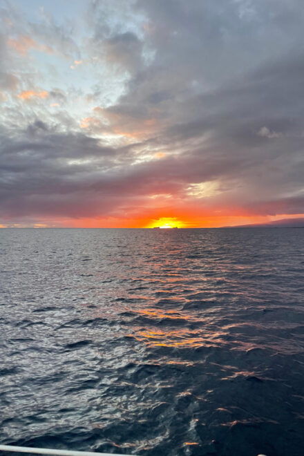 Sunset Sail Charter - Reservations and Cancellations