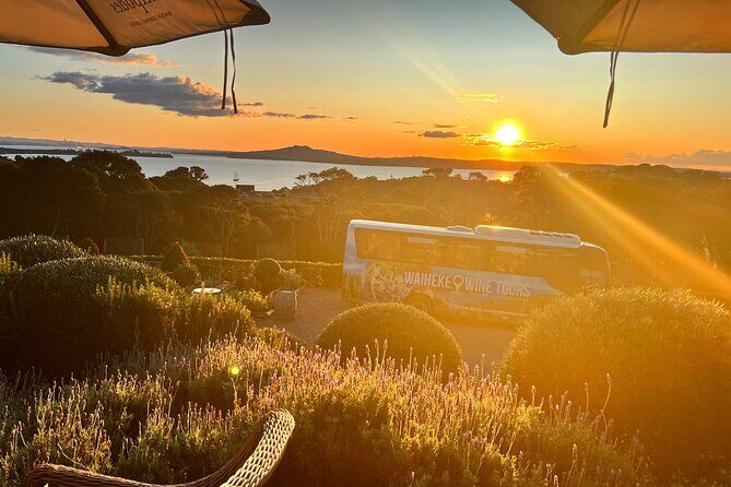 Sunset Scenic Dinner Tour on Beautiful Waiheke Island - Setting the Scene: Waiheke Island’s Vineyards and Views