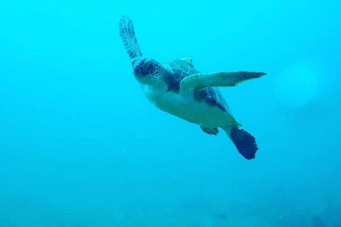 Sunset Snorkeling - Final Thoughts: Who Will Love This Experience?