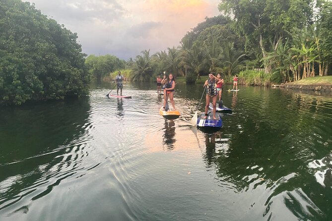 Sunset Stand up Paddle With Photos and Turtles - Cancellation Policy and Refund Information