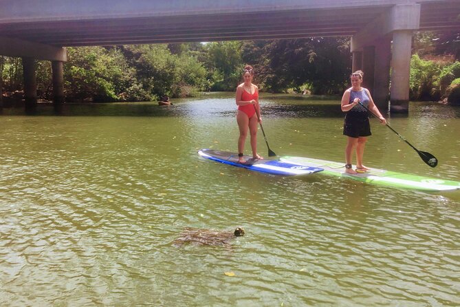 Sunset Stand up Paddle With Photos and Turtles - The Sum Up