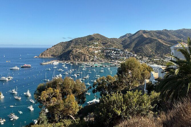 Sunset Summit Catalina Island Shared Tour - Authentic Feedback from Guests