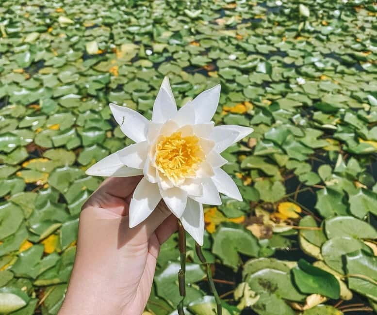 SUNSET/SUNRISE PRIVATE BOAT TOUR ON SKADAR LAKE (2H) - Who Will Love This Experience?