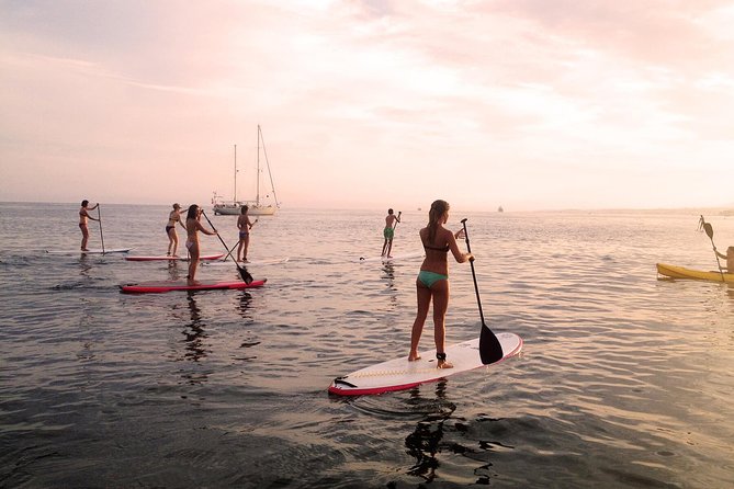 Sunset SUP Tour in Marbella - Booking and Availability