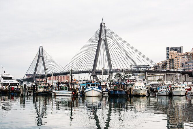 Sunset Sydney Fish Market Tour - Good To Know