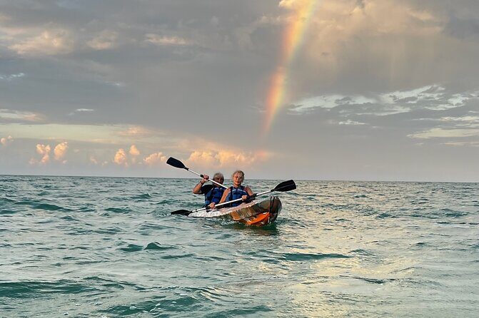 Sunset toast and bioluminescence in clear kayak - Final Thoughts: Why It’s Worth Booking