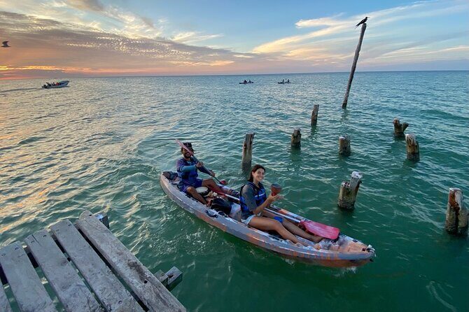 Sunset toast and bioluminescence in clear kayak - FAQ
