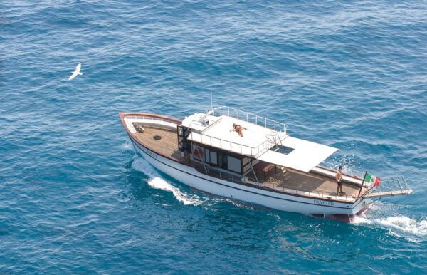 SUNSET TOUR - Frequently Asked Questions