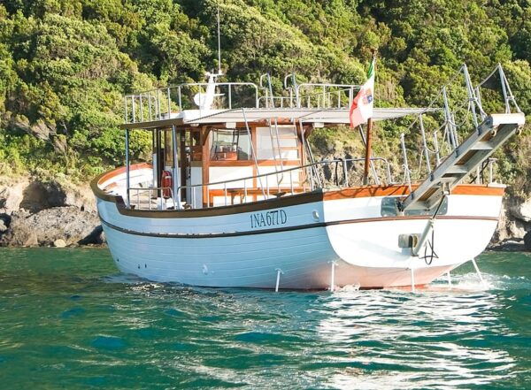 SUNSET TOUR - Frequently Asked Questions