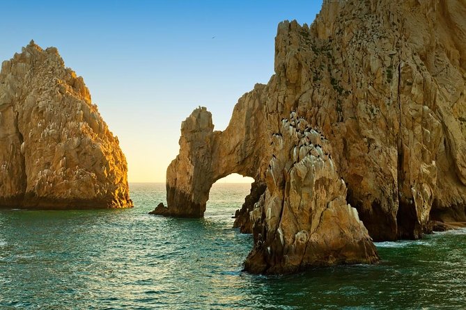 Sunset Tour & Lands End in a Glass Bottom Boat (VisitA Cabo) - Glass-Bottom Viewing Experience