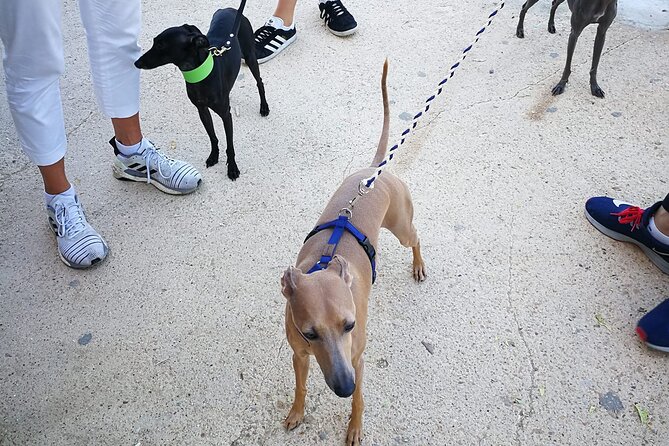 Sunset Tour of the Valley of the Temples - Frequently Asked Questions