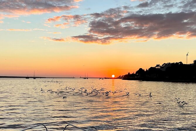 Sunset Tour on Douro River, Porto/Gaia Tour Welcome Drink - Additional Tour Information