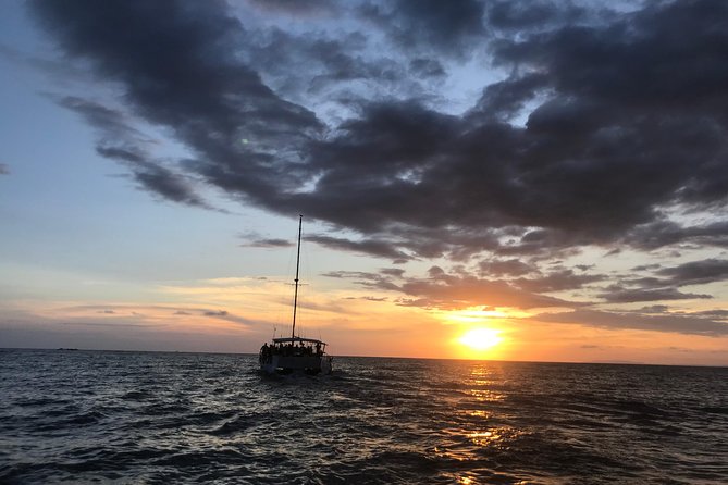 Sunset Tour to Playa Fantasia on Sealounge Catamaran - Tour Overview