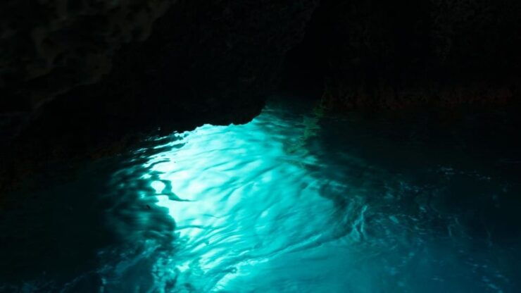 SUNSET TOUR WITH DOLPHIN WATCHING - Booking Information