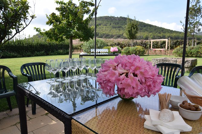Sunset Tour With Visit and Guided Tasting of 5 Wines and Local Products - Cancellation Policy
