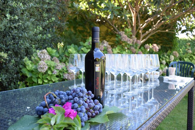 Sunset Tour With Visit and Guided Tasting of 5 Wines and Local Products - Common Questions