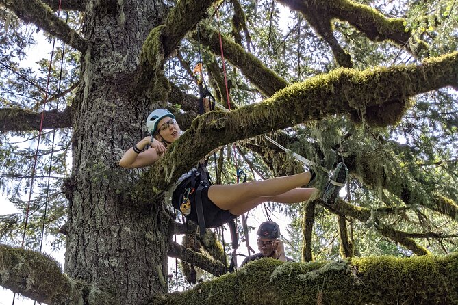 Sunset Tree Climb at Silver Falls State Park - Cancellation Policy and Weather Conditions
