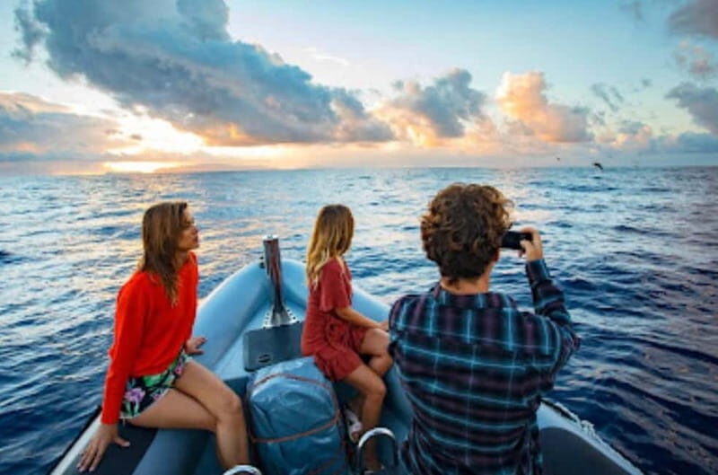 Sunset Trip + Dolphin & Whale Watching - Speed Boat - Exploring the Details of the Speedboat Tour