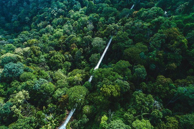 Sunset Walk at Penang Hill - A Closer Look at the Sunset Walk at Penang Hill