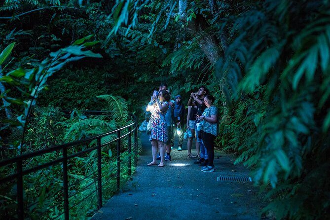 Sunset Walk at Penang Hill - Final Thoughts