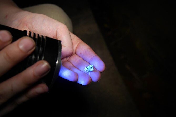 Sunset Walk at Penang Hill - FAQ