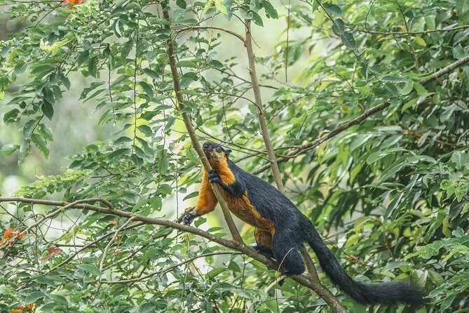 Sunset Walk at Penang Hill - Wrapping It Up