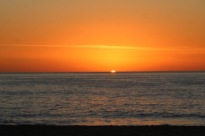 Sunset Whale Cruise in Cabo San Lucas - Pricing and Value