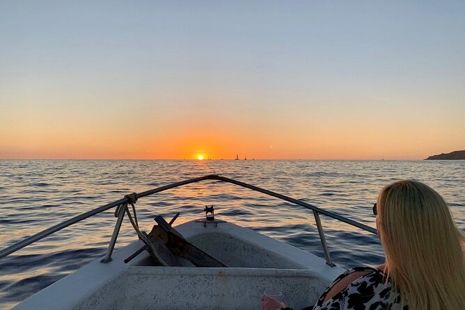 Sunset Whale Cruise in Cabo San Lucas - Overview of the Experience