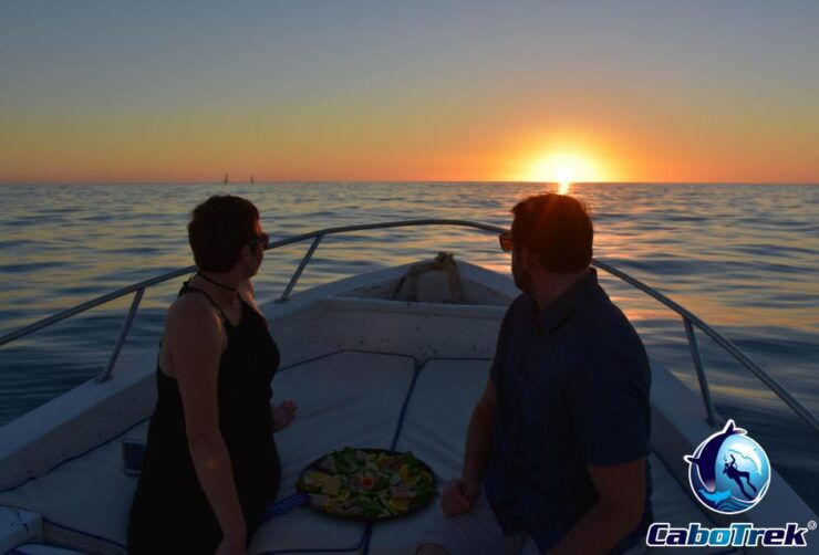 Sunset Whale Watching Cruise in Cabo San Lucas - Experience Highlights