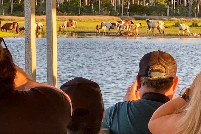 Sunset Wildlife Cruise Along Assateague & Chincoteague Island - Location and Duration