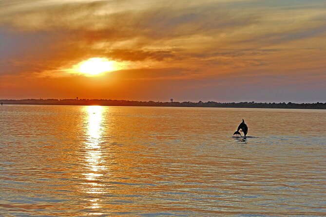 Sunset Wildlife Cruise Along Assateague & Chincoteague Island - Meeting and Pickup Instructions