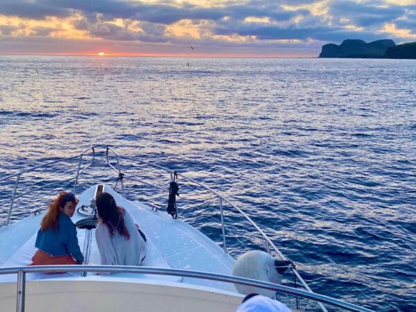 Sunset Yacht Tour With Food and Wine Tasting. - About the Company