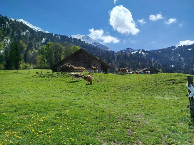 Sunset Yoga Hiking Tour - Experience Highlights