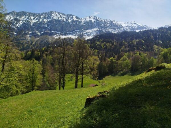 Sunset Yoga Hiking Tour - Frequently Asked Questions